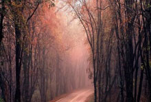 巴萨官方：奥尔莫右大腿内收肌受伤，他将缺席三周左右.