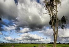 “一直打到打不动” 老将们为了留在赛场太拼了央视新闻客户端.