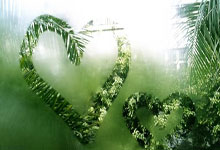 NBA：文班亚马确诊右肩深静脉血栓 预计赛季报销.